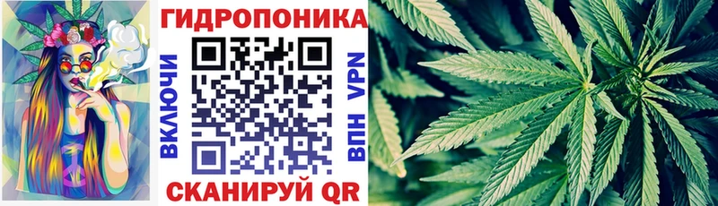 Каннабис SATIVA & INDICA Глазов