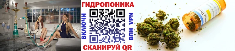 Бошки марихуана MAZAR  купить наркотики цена  Глазов 